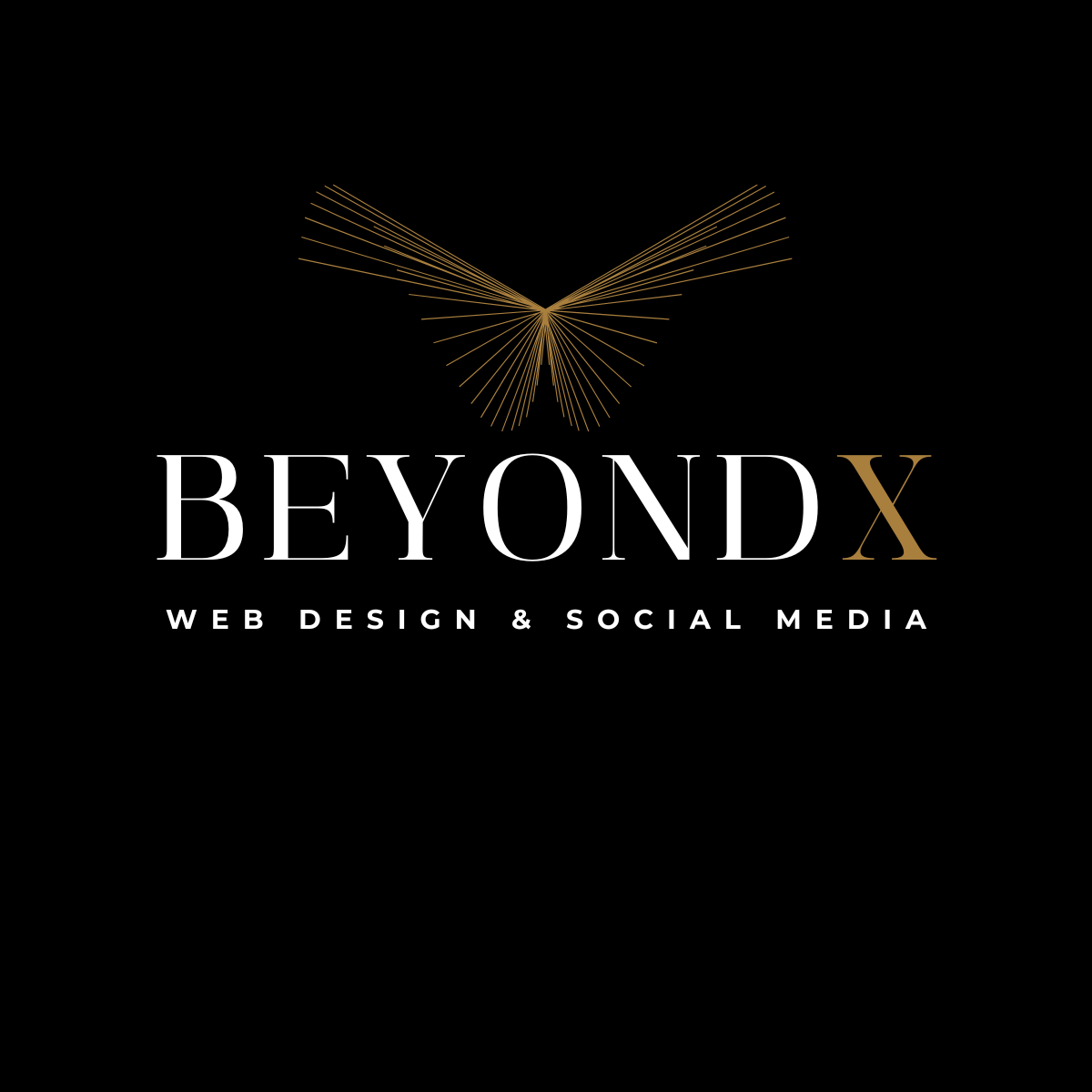 BEYONDX Team
